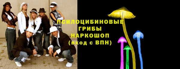 ГАЛЛЮЦИНОГЕННЫЕ ГРИБЫ Алзамай