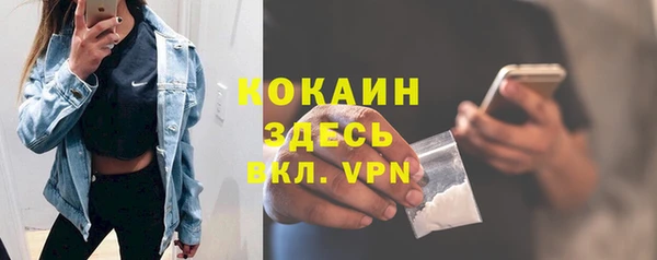 спайс Алексин