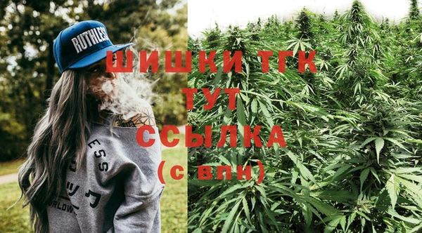 ГАЛЛЮЦИНОГЕННЫЕ ГРИБЫ Алзамай