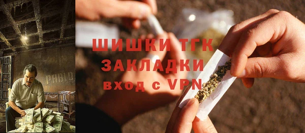 ГАЛЛЮЦИНОГЕННЫЕ ГРИБЫ Алзамай
