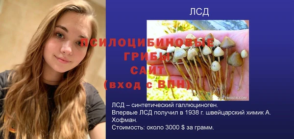 ГАЛЛЮЦИНОГЕННЫЕ ГРИБЫ Алзамай